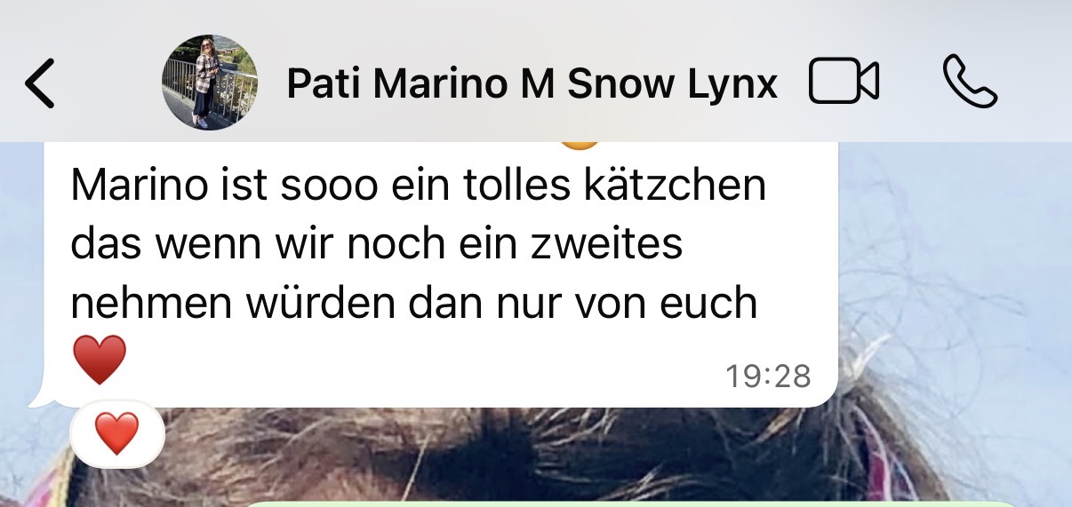 Referenzfoto