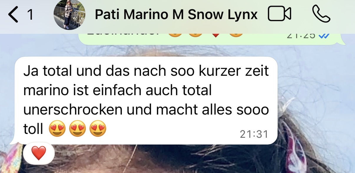 Referenzfoto