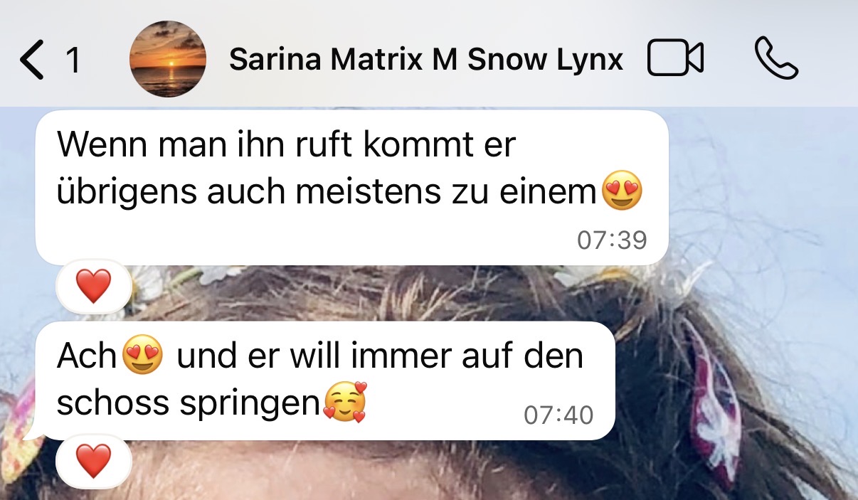 Referenzfoto