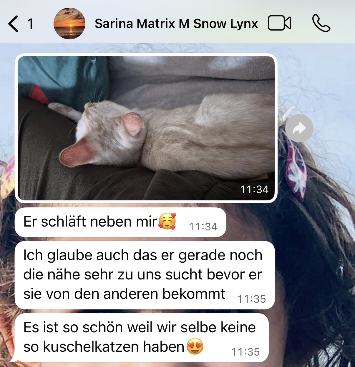 Referenzfoto